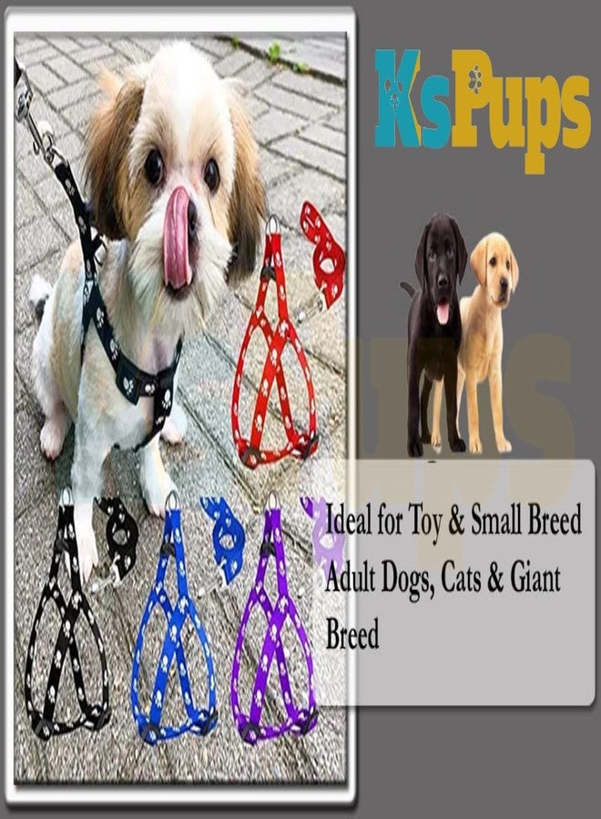KsPups Nylon Adjustable Leash with Harness Set Printed Nylon Puppy Harness for Small & Medium Dogs Colour May Vary (0.5 INCH), Multicoloured - Image 5